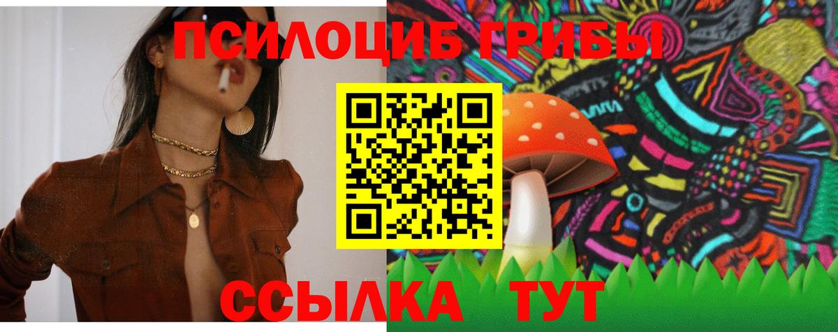 Псилоцибиновые грибы GOLDEN TEACHER Сокол