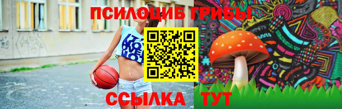 Сокол  Псилоцибиновые грибы MAGIC MUSHROOMS  Вход с VPN 